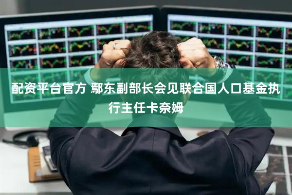 配资平台官方 鄢东副部长会见联合国人口基金执行主任卡奈姆