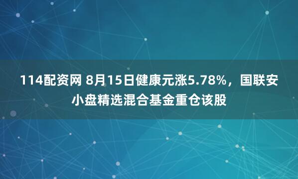 114配资网 8月15日健康元涨5.78%，国联安小盘精选混合基金重仓该股